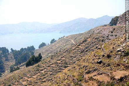 Áreas cultivadas en las laderas de las montañas del lago Titicaca - Bolivia - Otros AMÉRICA del SUR. Foto No. 52609