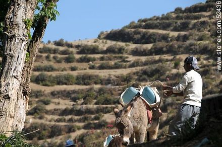 Transporte de bidones de agua en burro en la Isla del Sol, lago Titicaca, Bolivia. - Bolivia - Otros AMÉRICA del SUR. Foto No. 52436
