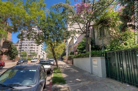 La calle Ellauri entre Masini y Guayaquí - Departamento de Montevideo - URUGUAY. Foto No. 53920