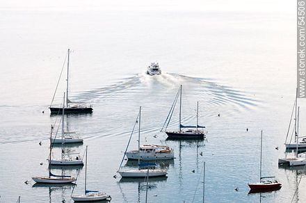 Port of Punta del Este. Aerial view. Sailboats moored. - Punta del Este and its near resorts - URUGUAY. Photo #54506