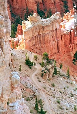 Bryce Canyon National Park, Utah. -  - USA-CANADA. Photo #54475