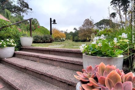 Stairs to the garden - Punta del Este and its near resorts - URUGUAY. Photo #54556