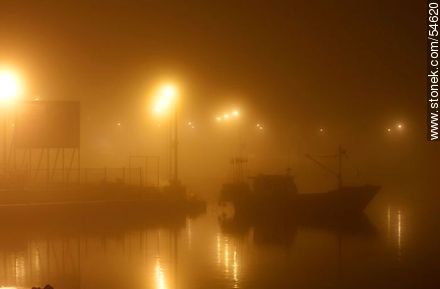 Misty dawn - Punta del Este and its near resorts - URUGUAY. Photo #54620