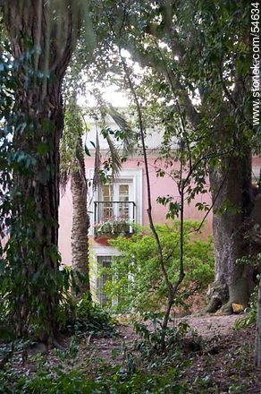 Museum of Arboretum Lussich from the park with ancient plant species - Punta del Este and its near resorts - URUGUAY. Photo #54634