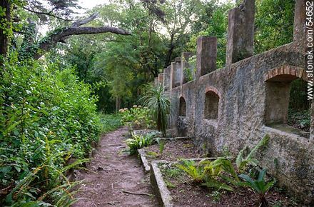 Antigua estructura abandonada del Arboreto Lussich - Punta del Este y balnearios cercanos - URUGUAY. Foto No. 54652