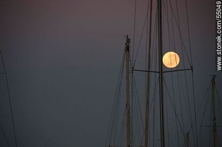 Luna llena al amanecer entre mástiles de veleros - Departamento de Maldonado - URUGUAY. Foto No. 55049