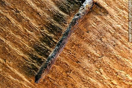 Rusty nail -  - MORE IMAGES. Photo #55246