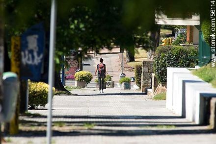 Bulevar Artigas próximo al Parque Rodó. - Departamento de Montevideo - URUGUAY. Foto No. 56124
