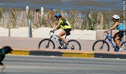 Cyclists on the promenade of Ramirez beach. - Department of Montevideo - URUGUAY. Photo #56274