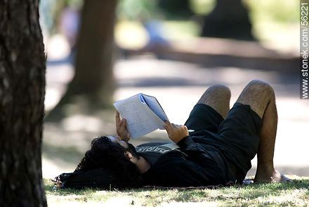 Boy studying in the shade of a tree - Department of Montevideo - URUGUAY. Photo #56221