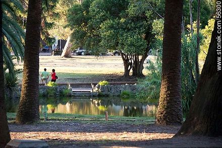 Lago del Parque Rodó. - Departamento de Montevideo - URUGUAY. Foto No. 56300