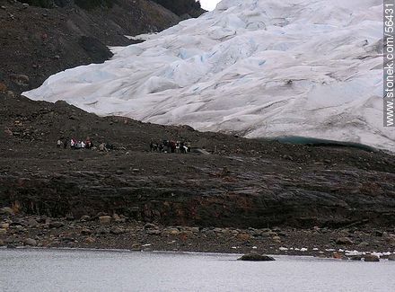 Perito Moreno glacier -  - ARGENTINA. Photo #56431