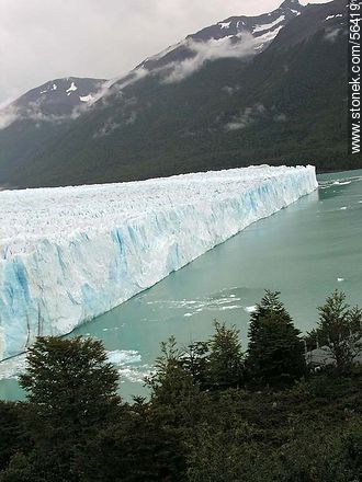 Perito Moreno glacier -  - ARGENTINA. Photo #56419