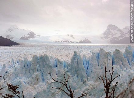 Perito Moreno glacier -  - ARGENTINA. Photo #56408
