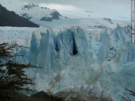 Perito Moreno glacier -  - ARGENTINA. Photo #56404
