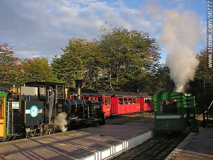 Ferrocarril Austral Fueguino -  - ARGENTINA. Photo #56777