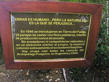 Zona de castores, introducidos en 1946 -  - ARGENTINA. Foto No. 56748