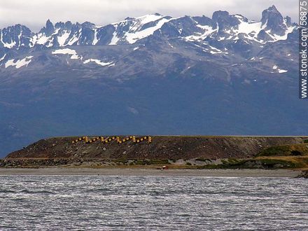Mountains of Tierra del Fuego. Beagle Channel -  - ARGENTINA. Photo #56875