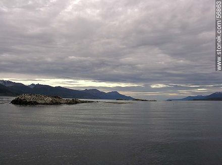 Islands in the Beagle Channel -  - ARGENTINA. Photo #56863