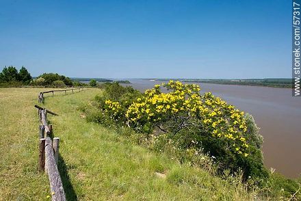 Vista al río Uruguay desde la Meseta de Artigas - Departamento de Paysandú - URUGUAY. Foto No. 57317
