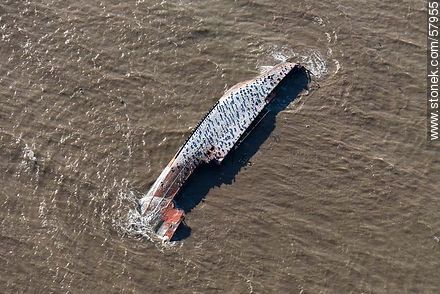 Barco semihundido utilizado como isla por las gaviotas - Departamento de Montevideo - URUGUAY. Foto No. 57955