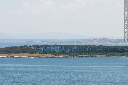 From the lighthouse of Punta del Este. Island Gorriti. - Punta del Este and its near resorts - URUGUAY. Photo #58705