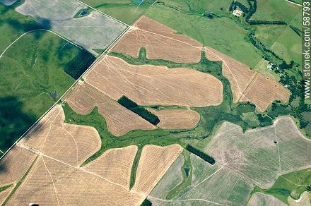 Aerial view of fields ready for planting - Department of Maldonado - URUGUAY. Photo #58793