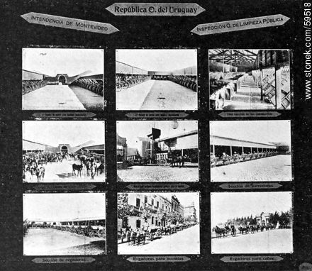 Intendencia de Montevideo, Inspección General de Limpieza Pública, 1910 - Departamento de Montevideo - URUGUAY. Foto No. 59518
