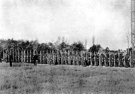 Sanidad Militar. Compañía de camilleros en formación, 1910 -  - URUGUAY. Foto No. 59539