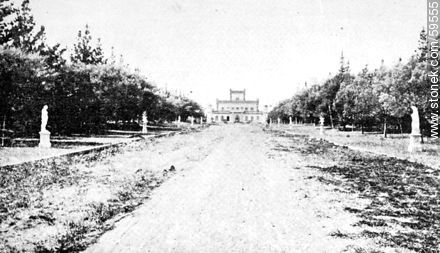Piriápolis, 1909. -  - URUGUAY. Foto No. 59555