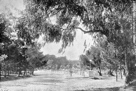 Parque del Prado, 1909 - Departamento de Montevideo - URUGUAY. Foto No. 59601