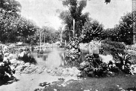 Fuente del Prado, 1909 - Departamento de Montevideo - URUGUAY. Foto No. 59593