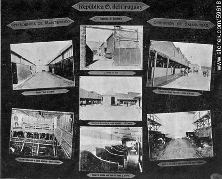 Intendencia de Montevideo, Inspección de Verterinaria, Dirección de Salubridad, 1910 - Departamento de Montevideo - URUGUAY. Foto No. 59618