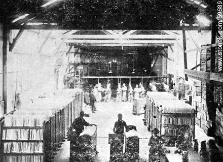 Departamento de la velería de la fábrica «La Uruguaya», 1909 - Departamento de Montevideo - URUGUAY. Foto No. 59689