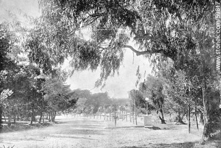 Una de las entradas del Paseo del Prado. 1909 - Departamento de Montevideo - URUGUAY. Foto No. 59817