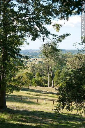 Park - Lavalleja - URUGUAY. Photo #59857