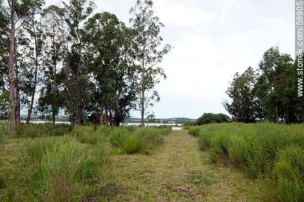 Land for maritime ranch  - Punta del Este and its near resorts - URUGUAY. Photo #59905