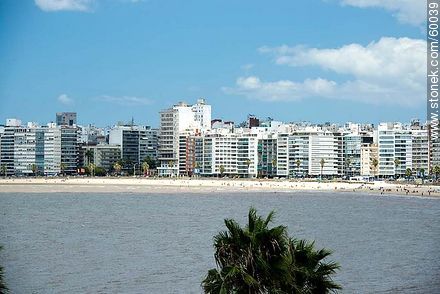 Beach and Rambla - Department of Montevideo - URUGUAY. Photo #60039