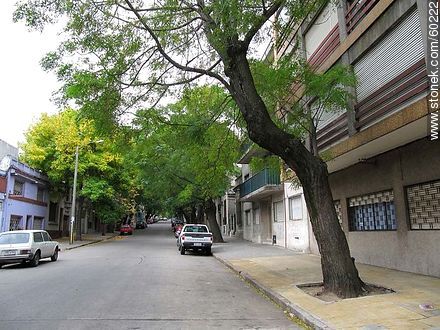 Mario Cassinoni Street (former Duvimioso Terra) and Charrua St. - Department of Montevideo - URUGUAY. Photo #60222