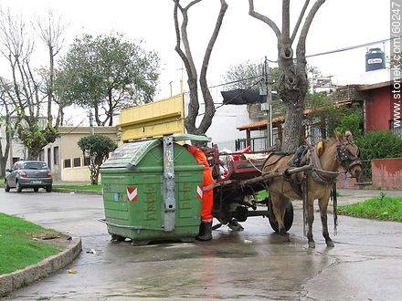 Hurgador de uniforme municipal con carro de caballo -  - URUGUAY. Foto No. 60247