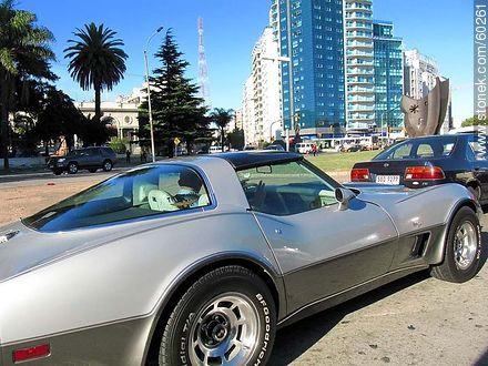 Corvette en Montevideo - Departamento de Montevideo - URUGUAY. Foto No. 60261