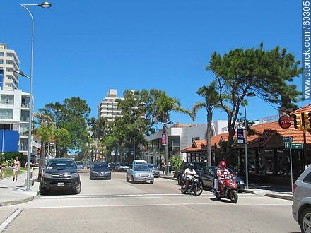 Calle 20 - Punta del Este and its near resorts - URUGUAY. Photo #60305
