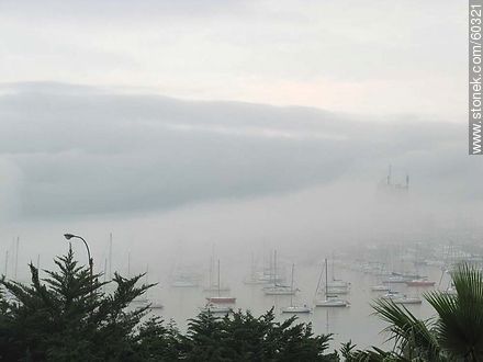Niebla cerrada en el Buceo - Departamento de Montevideo - URUGUAY. Foto No. 60321