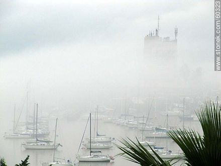 Niebla cerrada en el Buceo - Departamento de Montevideo - URUGUAY. Foto No. 60323