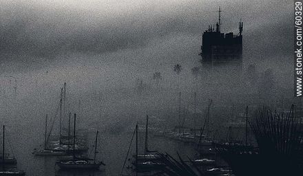 Dense fog in Buceo - Department of Montevideo - URUGUAY. Photo #60329