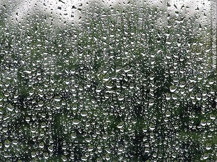 Rain drops on a glass -  - MORE IMAGES. Photo #60337