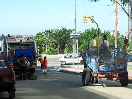 Child waste pickers on a horse drawn carriage on the promenade of Buceo -  - URUGUAY. Photo #60373