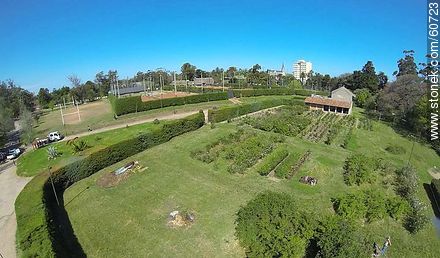 Vista aérea del parque del Prado - Departamento de Montevideo - URUGUAY. Foto No. 60723
