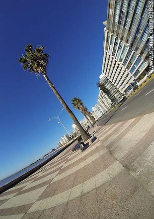 Pocitos beach and Rambla Rep. del Perú.  - Department of Montevideo - URUGUAY. Photo #60853