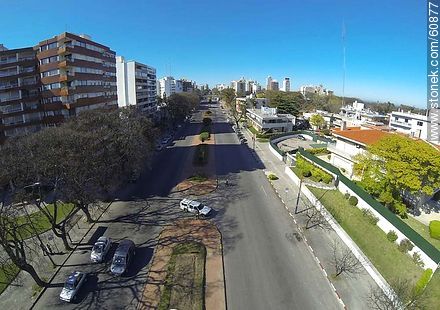 Aerial view of Bulevar Artigas facing south - Department of Montevideo - URUGUAY. Photo #60877